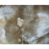 Places of Art